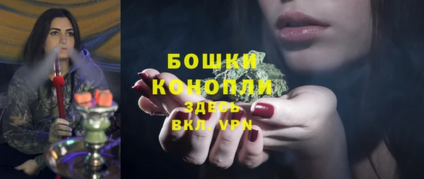 винт Горно-Алтайск