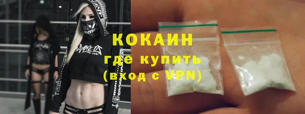 шишки Горнозаводск
