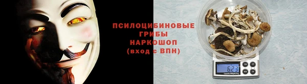винт Горно-Алтайск