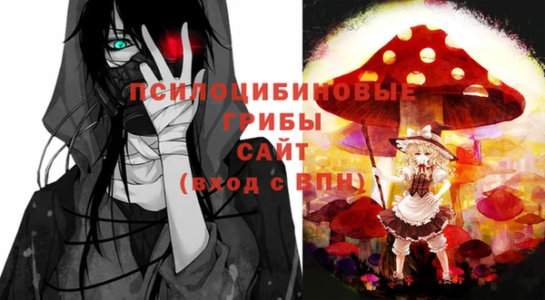 винт Горно-Алтайск