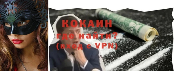 шишки Горнозаводск