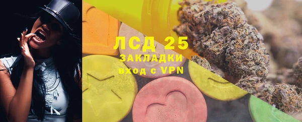 шишки Горнозаводск