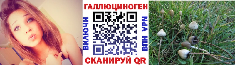 Галлюциногенные грибы прущие грибы  Находка 