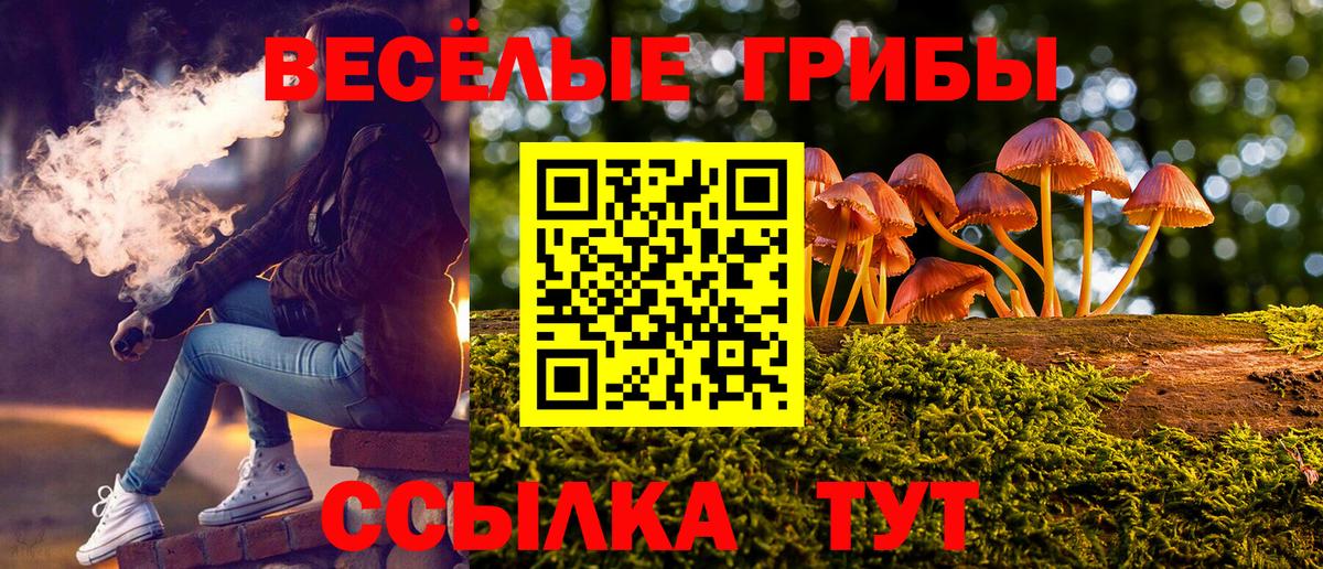 Галлюциногенные грибы Magic Shrooms Находка