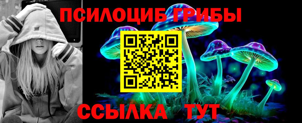 Галлюциногенные грибы ЛСД  Галлюциногенные грибы Cubensis  где продают наркотики  Находка  Вход с VPN 